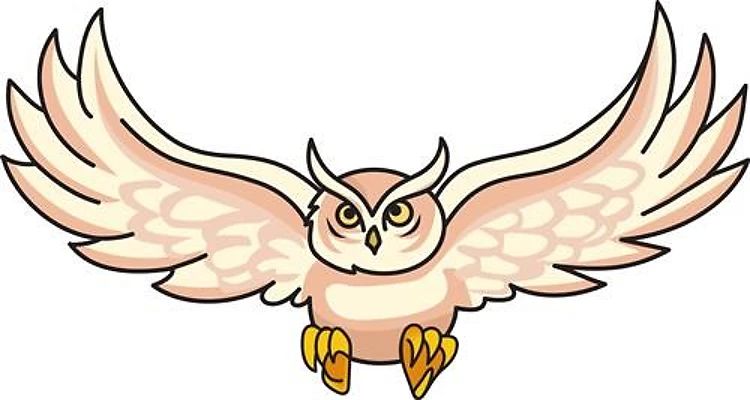 OWL IN FLIGHT