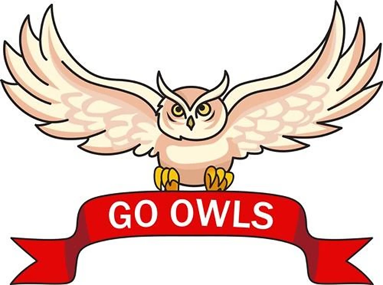 GO OWLS