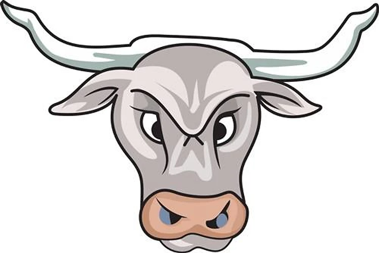 BULL MASCOT