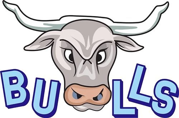 BULLS