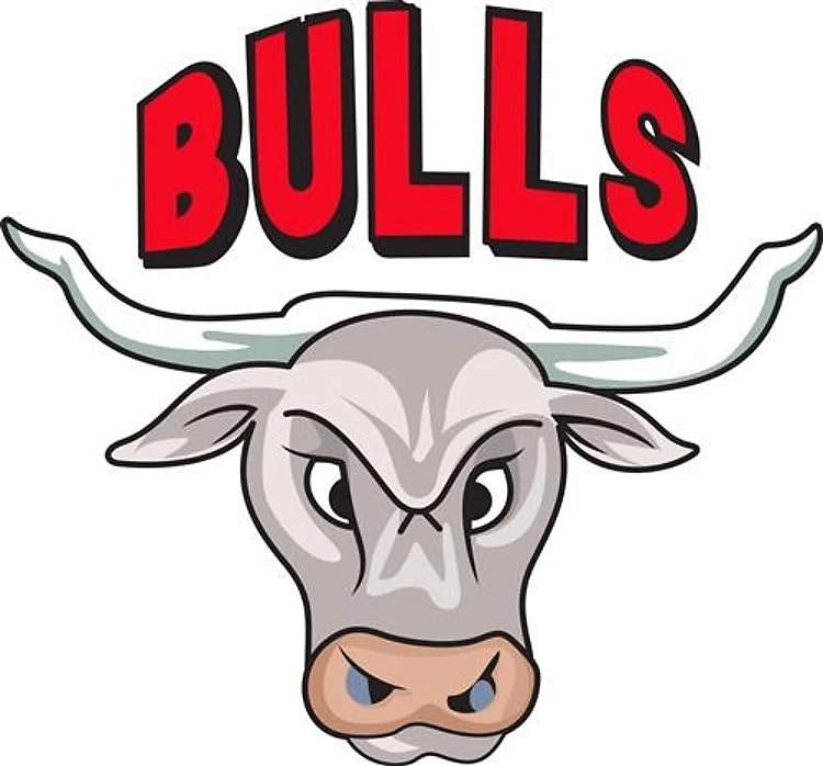 BULLS MASCOT