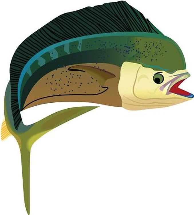MAHI MAHI