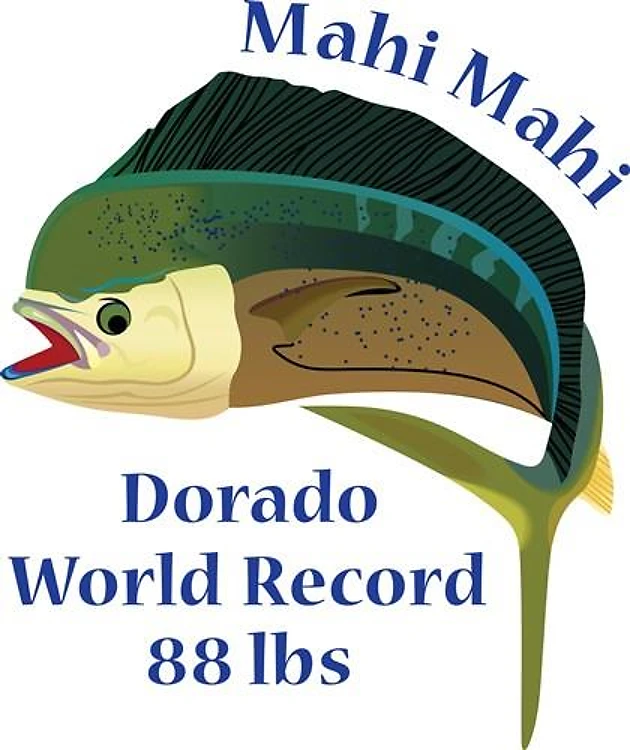 WORLD RECORD MAHI MAHI