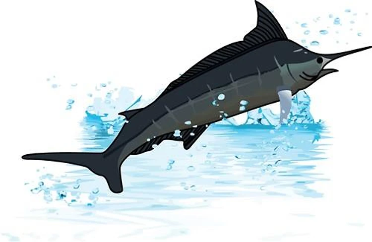 JUMPING MARLIN