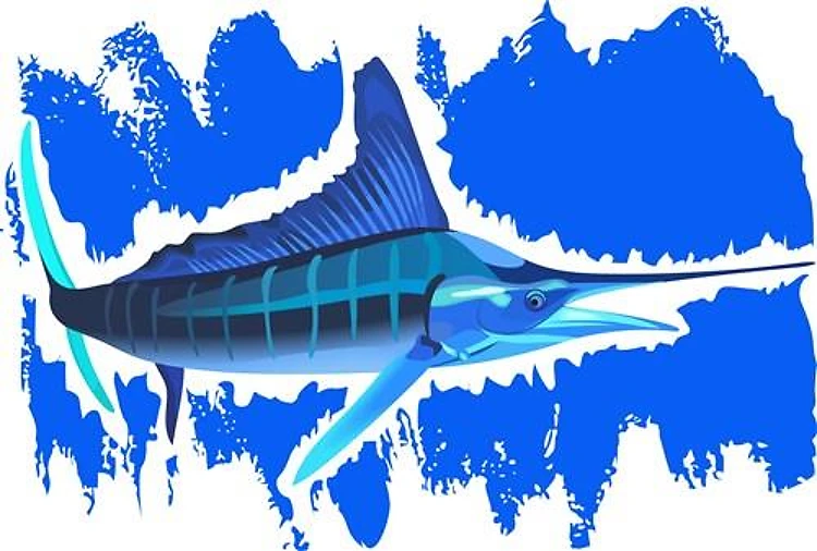 MARLIN IN OCEAN