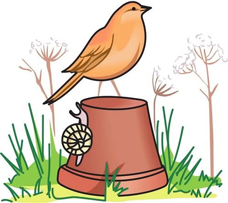ROBIN AND SNAIL
