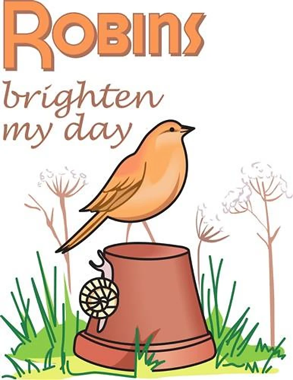 ROBINS BRIGHTEN MY DAY