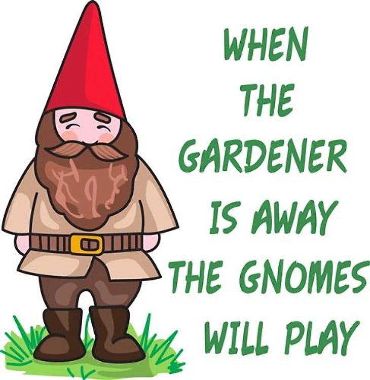 THE GNOMES WILL PLAY
