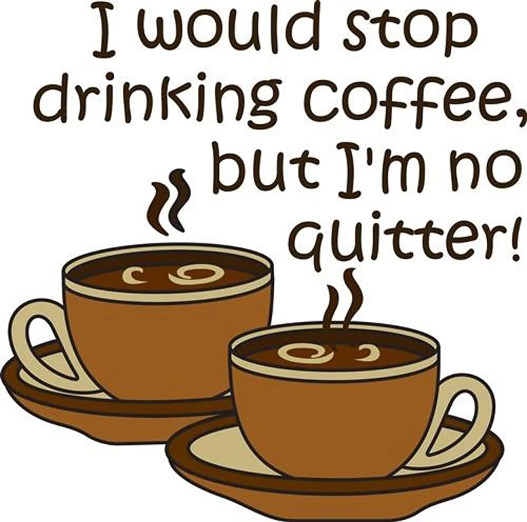 IM NO QUITTER