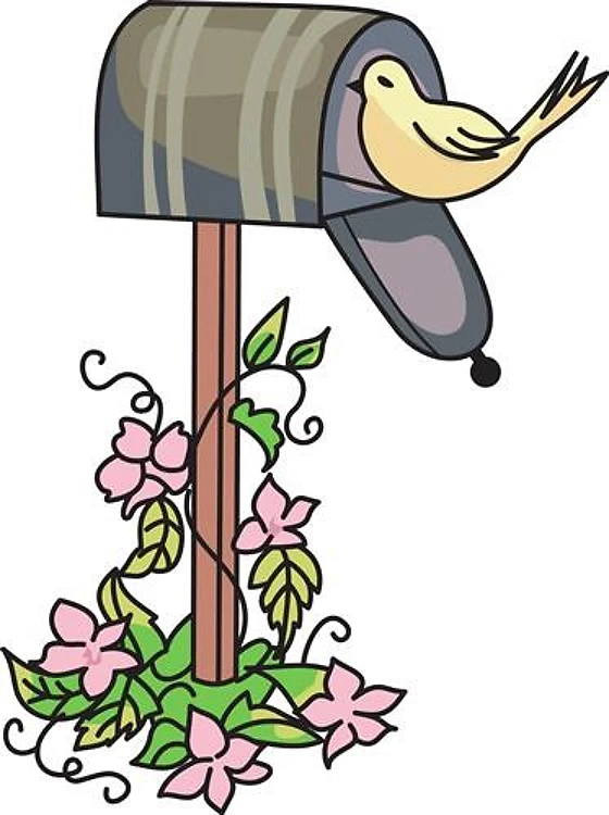BIRD ON MAILBOX