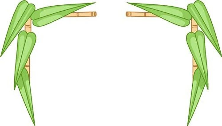 BAMBOO FRAME BORDER