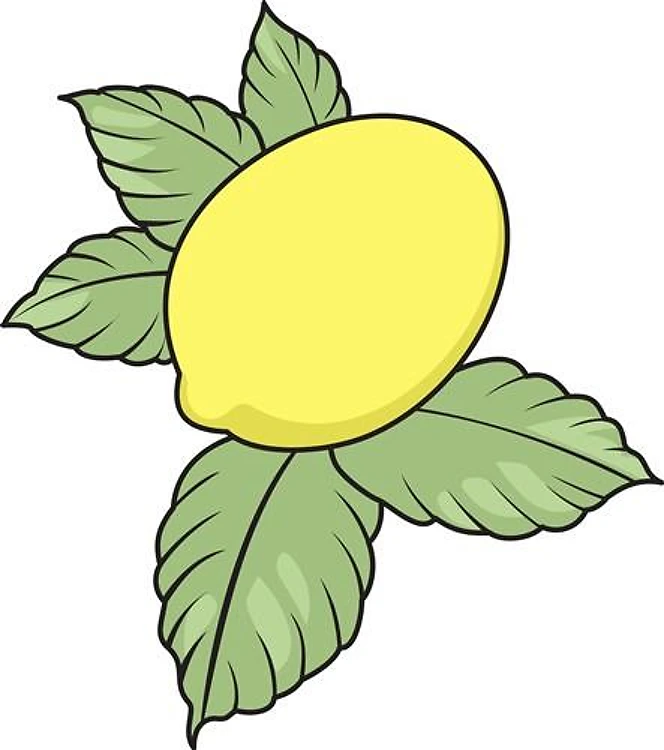 LEMON FRUIT