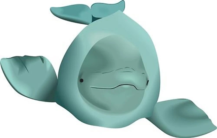 BELUGA WHALE
