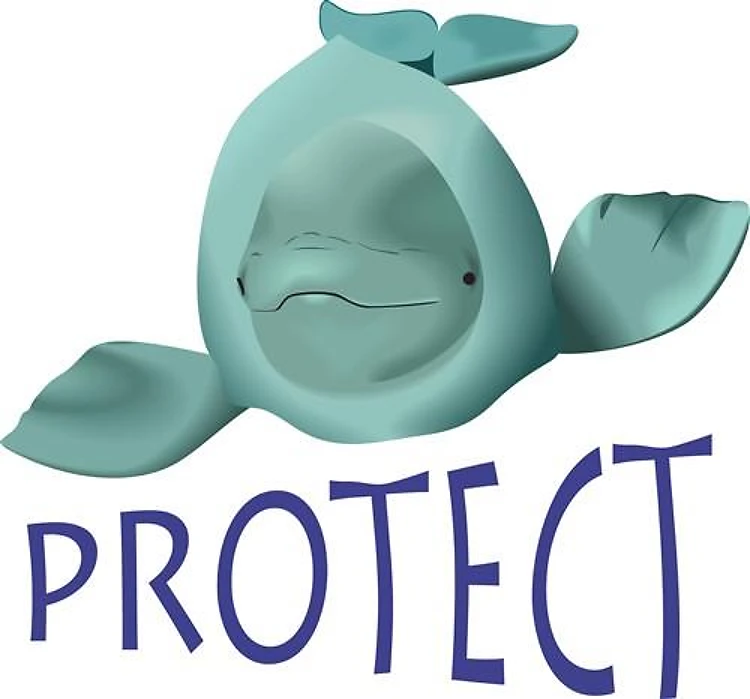 PROTECT BELUGA WHALES