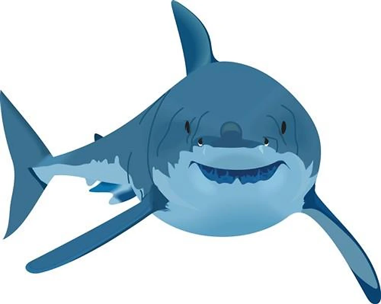 GREAT WHITE SHARK