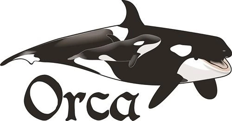 ORCA