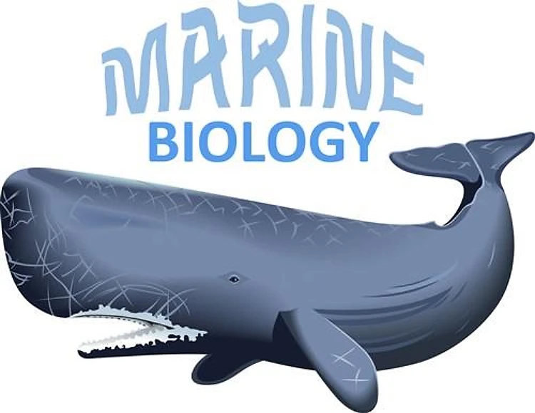 MARINE BIOLOGY