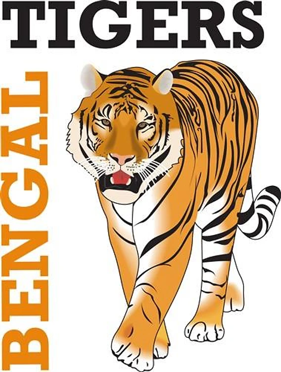 BENGAL TIGERS