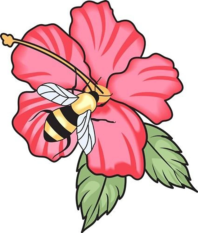 BEE ON HIBISCUS