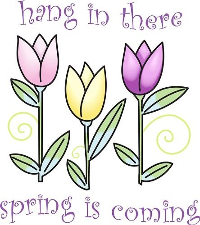 HANG IN THERE