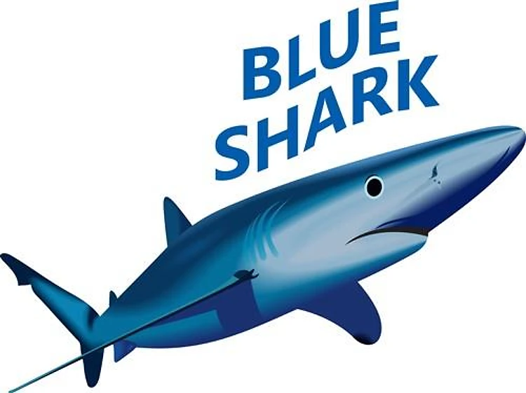 BLUE SHARK BLUE SHARK