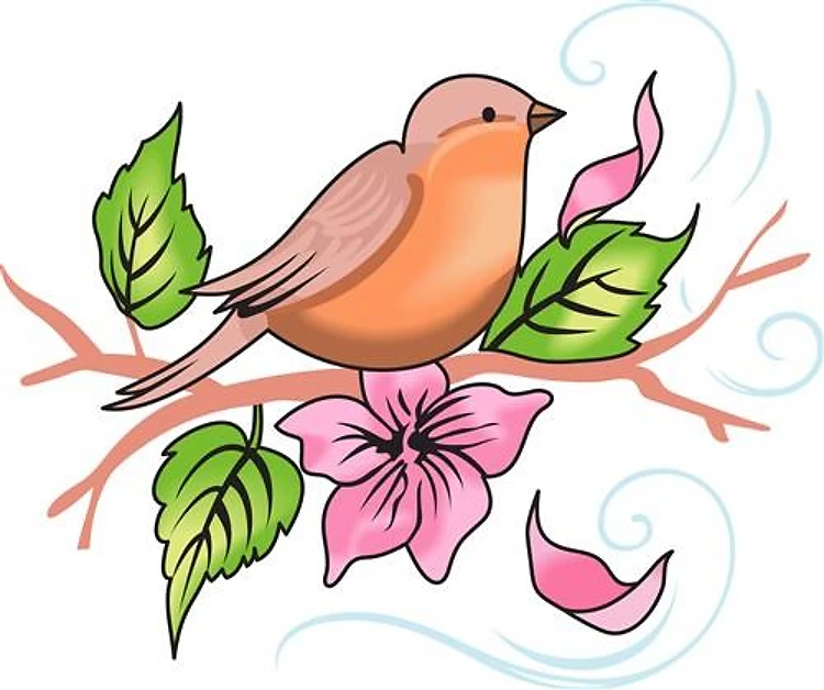 ROBIN ON BRANCH