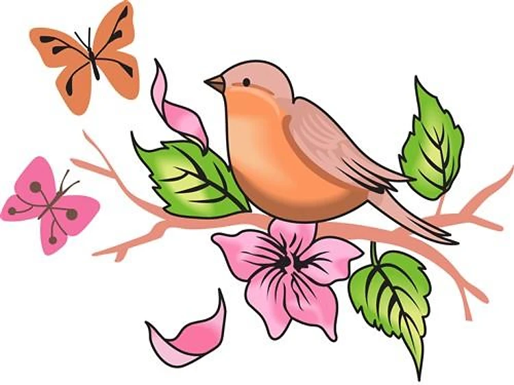 ROBIN AND BUTTERFLIES