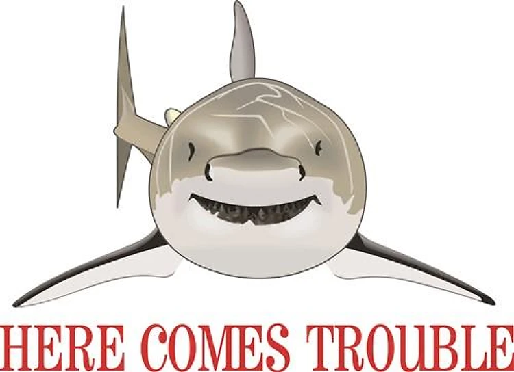 HERE COMES TROUBLE