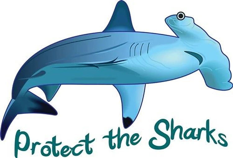PROTECT THE SHARKS