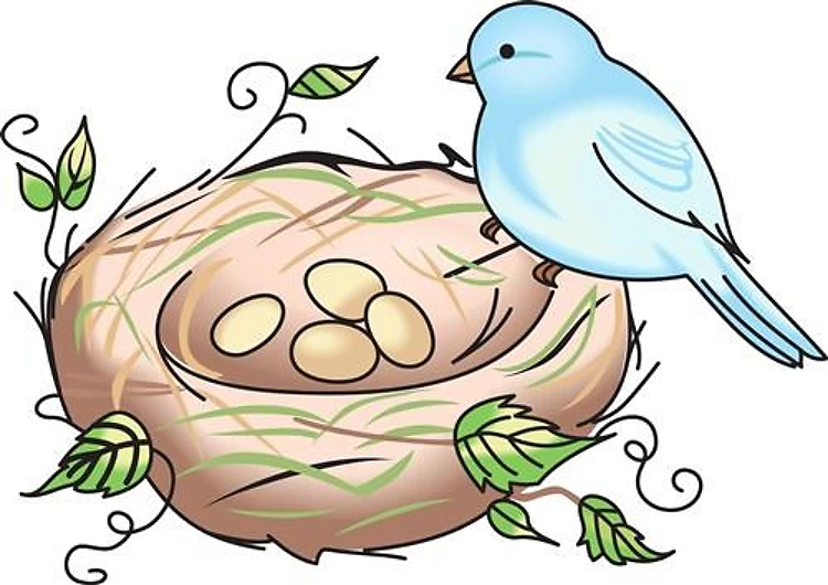BIRD AND NEST
