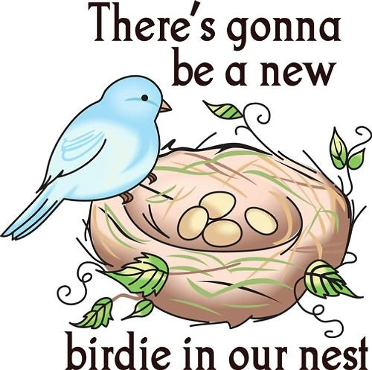 NEW BIRDIE IN OUR NEST