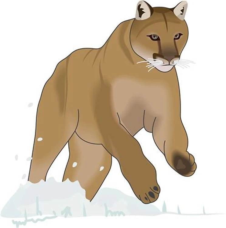 COUGAR IN SNOW
