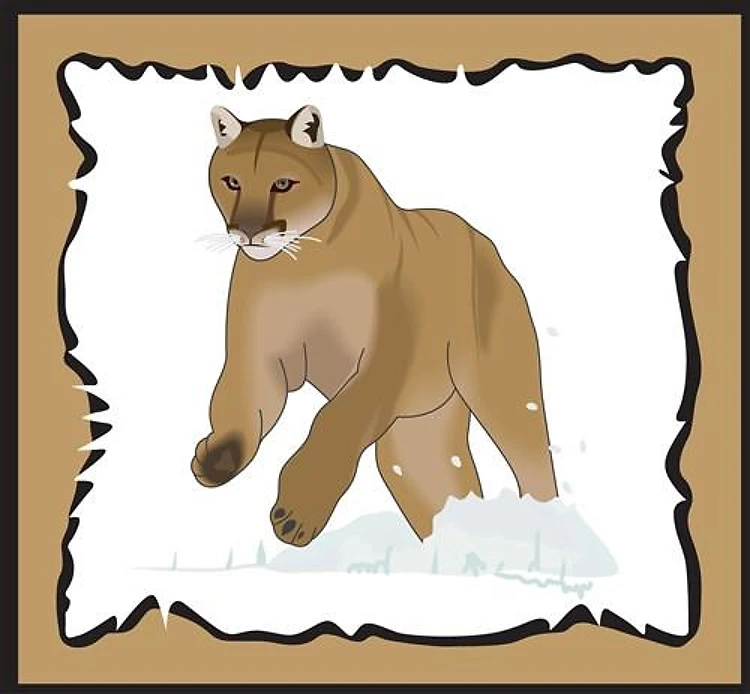 FRAMED COUGAR