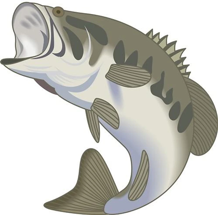 BIG MOUTH BASS