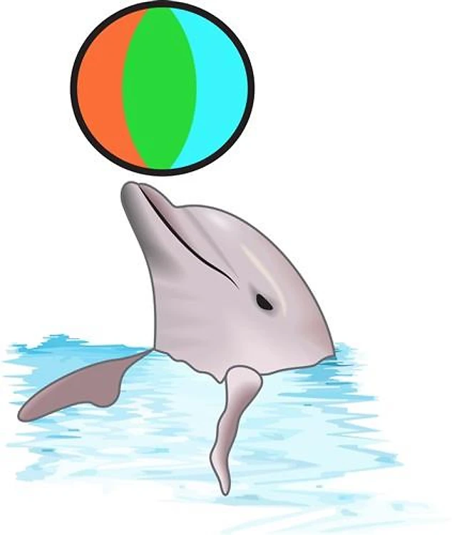 DOLPHIN WITH BEACHBALL