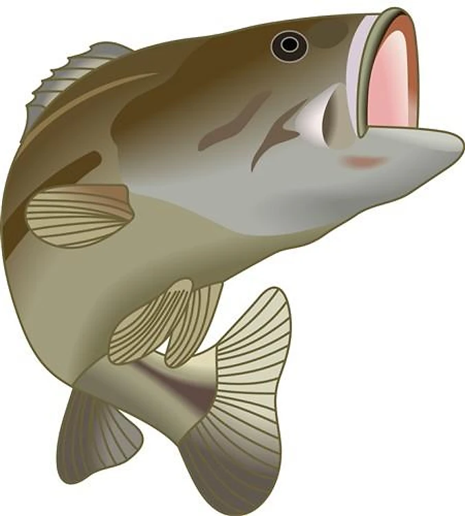 BIG MOUTH BASS