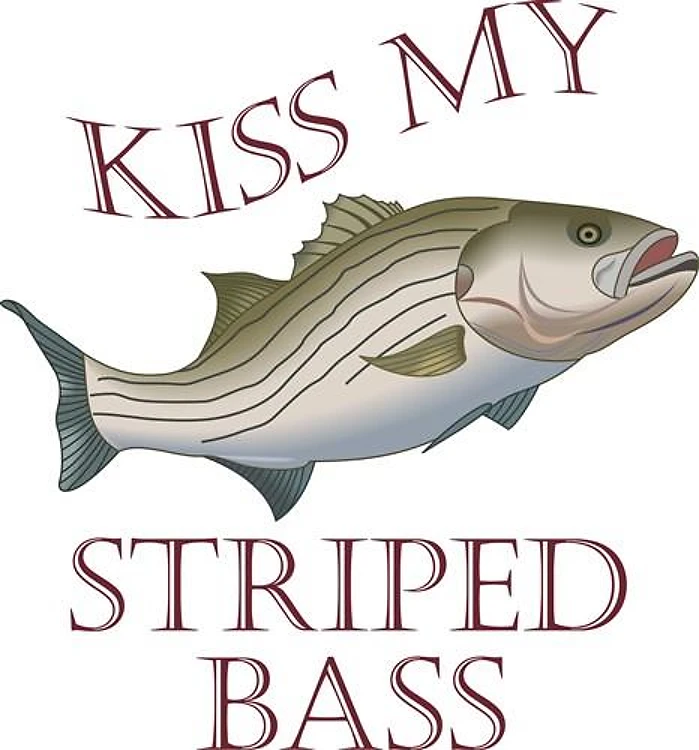 KISS MY STRIPED BASS