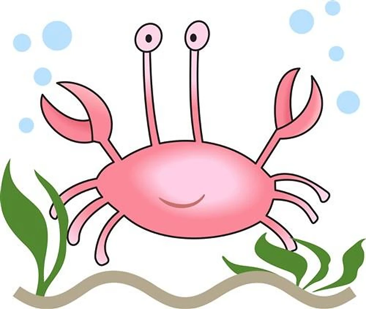 CRAB ON OCEAN FLOOR