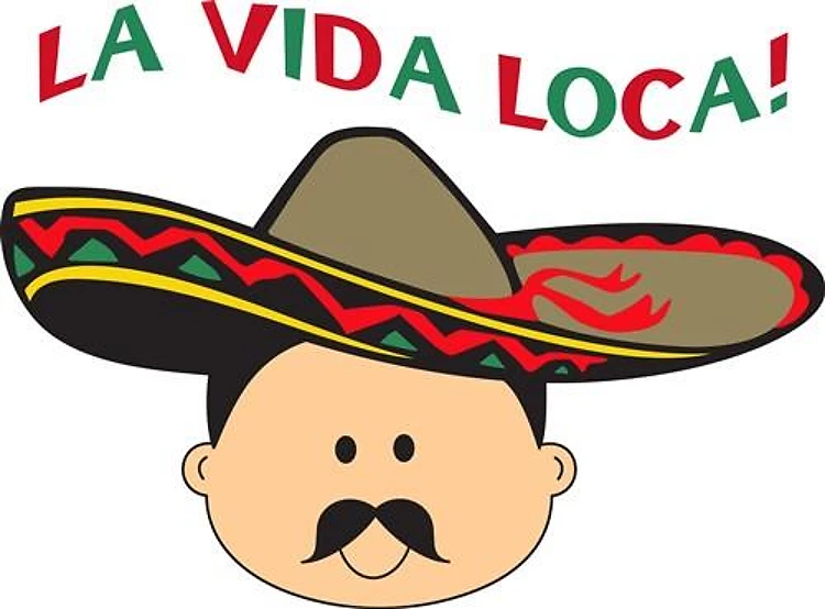 LA VIDA LOCA THE CRAZY LIFE