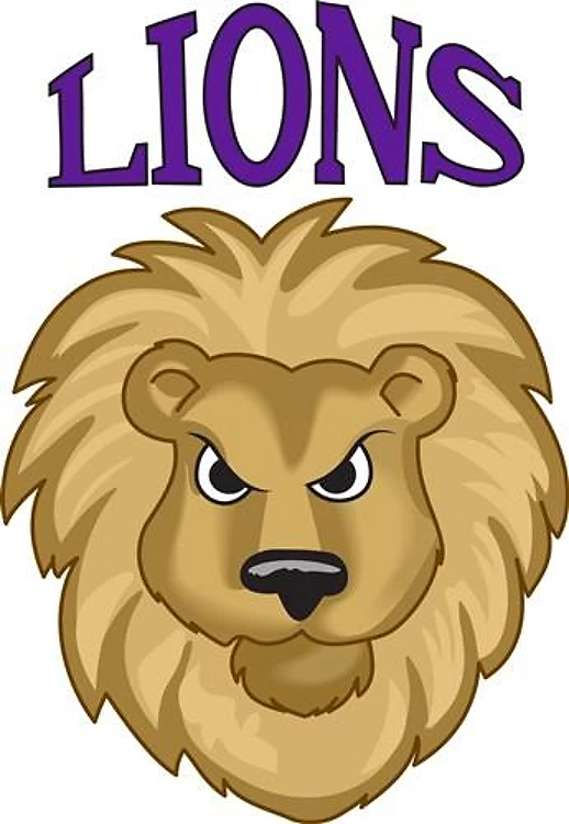 LIONS TEAM