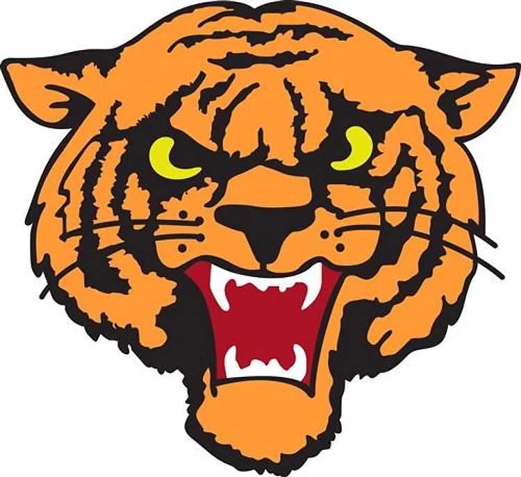TIGER MASCOT