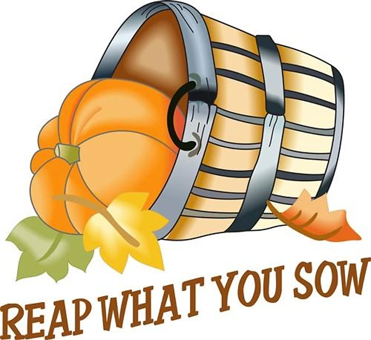 REAP WHAT YOU SOW