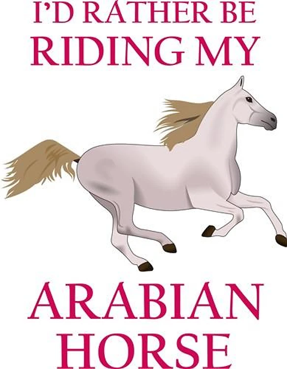 ID RATHER BE RIDING