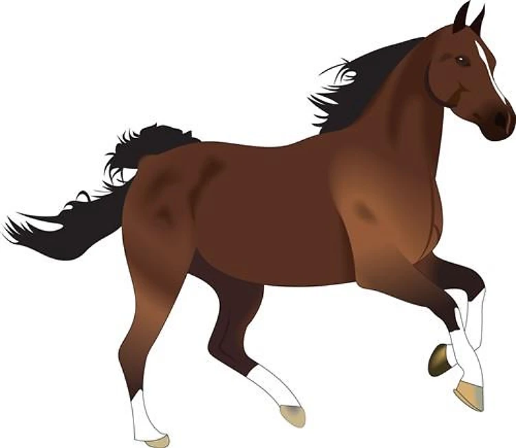 HORSE