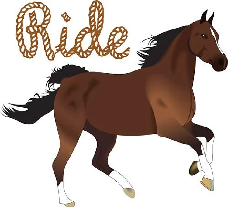RIDE