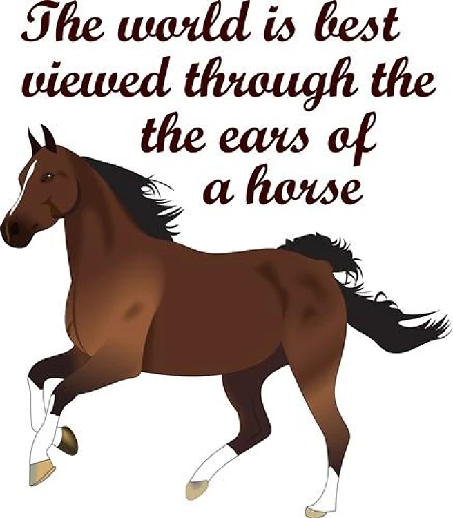 THROUGH THE EARS OF A HORSE
