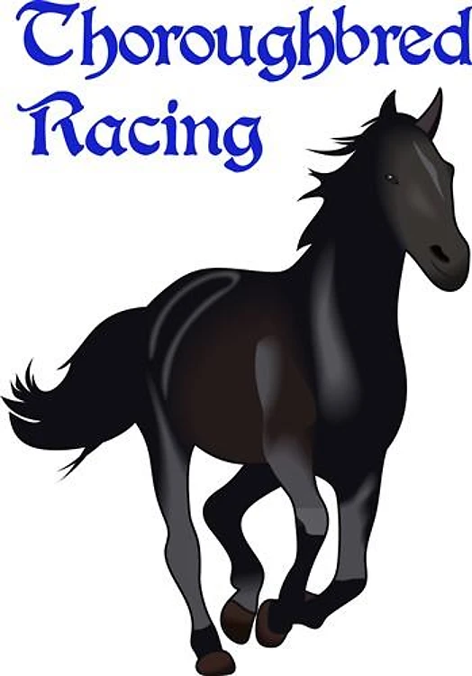 THOROUGHBRED RACING