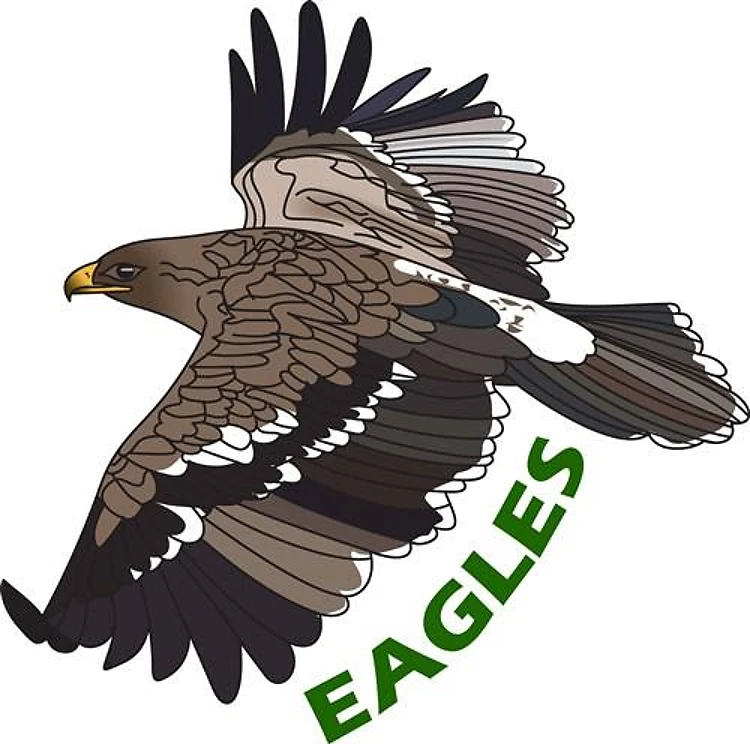 EAGLES MASCOT