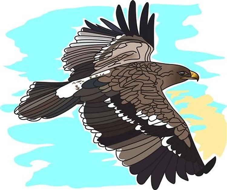 EAGLE AGAINST SKY