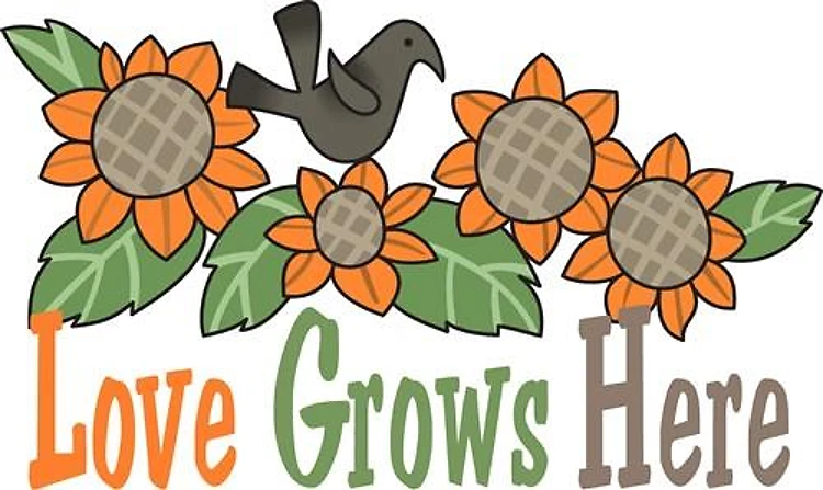 LOVE GROWS HERE